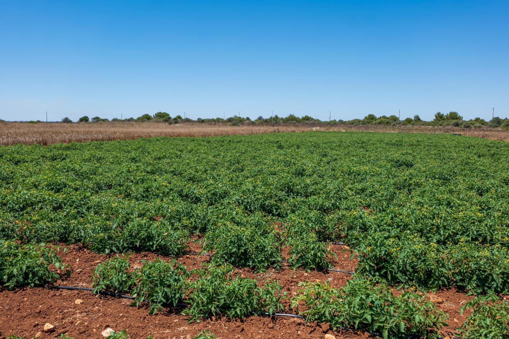 Alloggio per agriturismo Masseria Le Creste