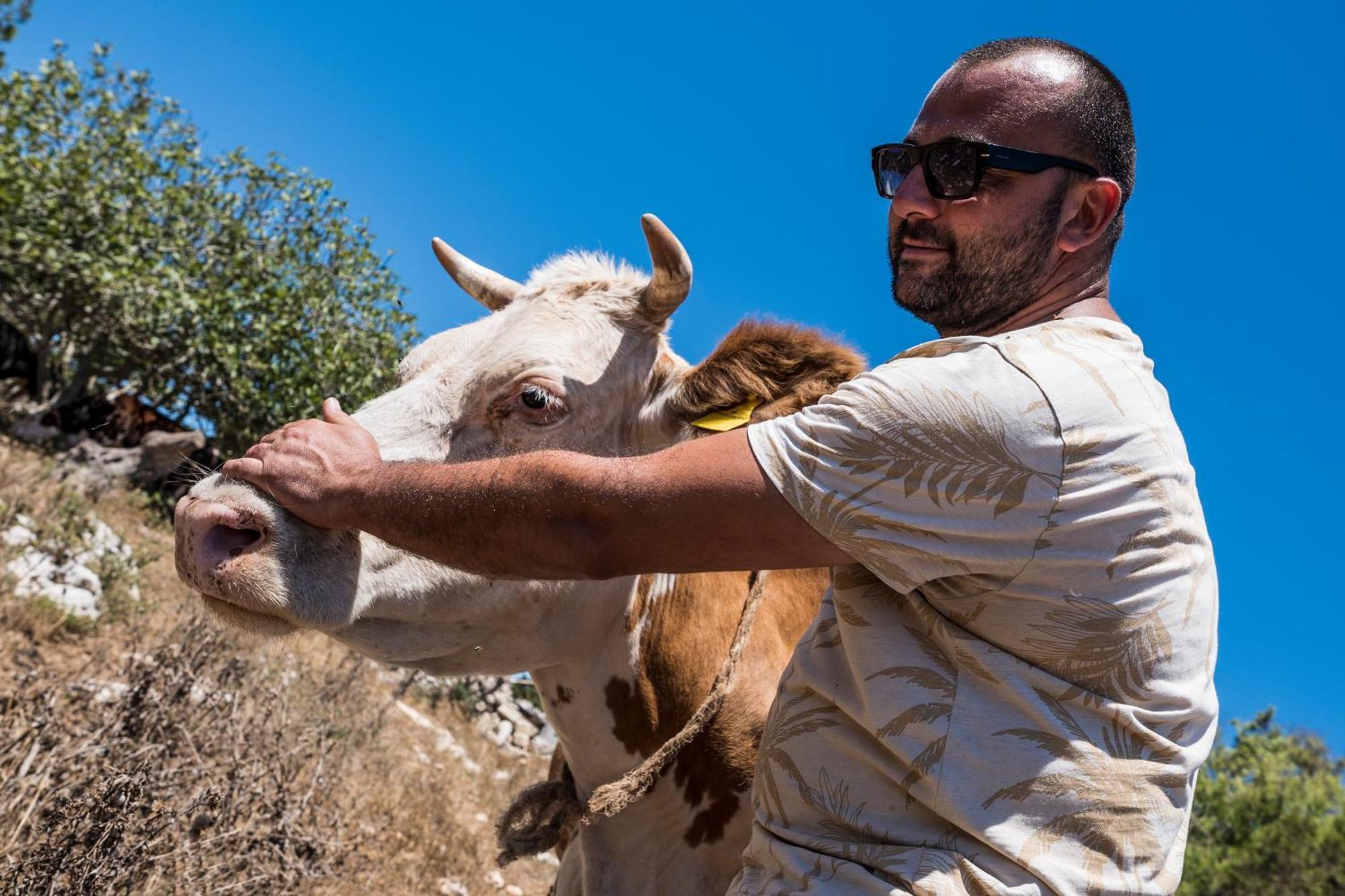 Alloggio per agriturismo Masseria Le Creste *