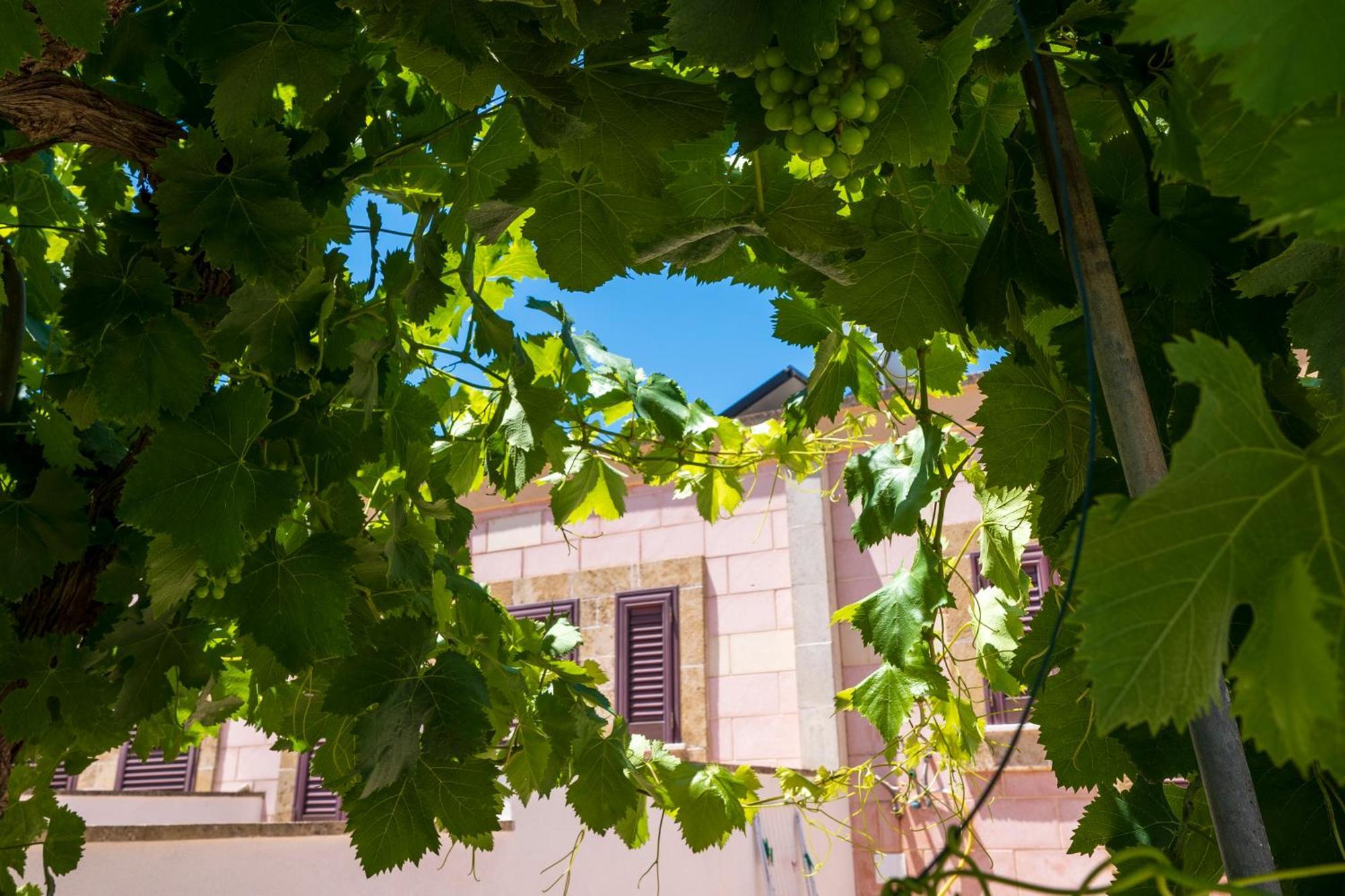 Alloggio per agriturismo Masseria Le Creste