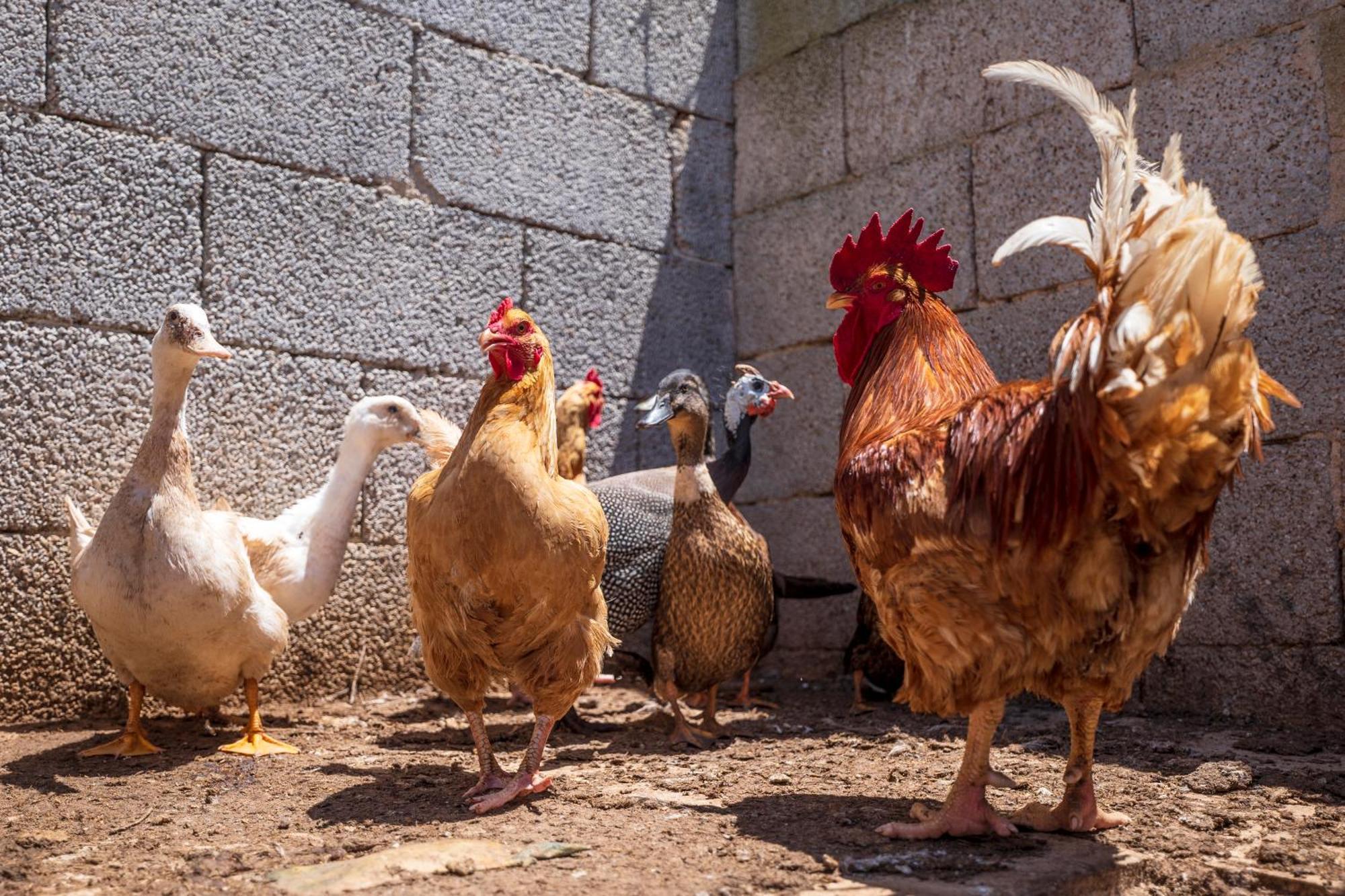 Séjour à la ferme Masseria Le Creste Otrante